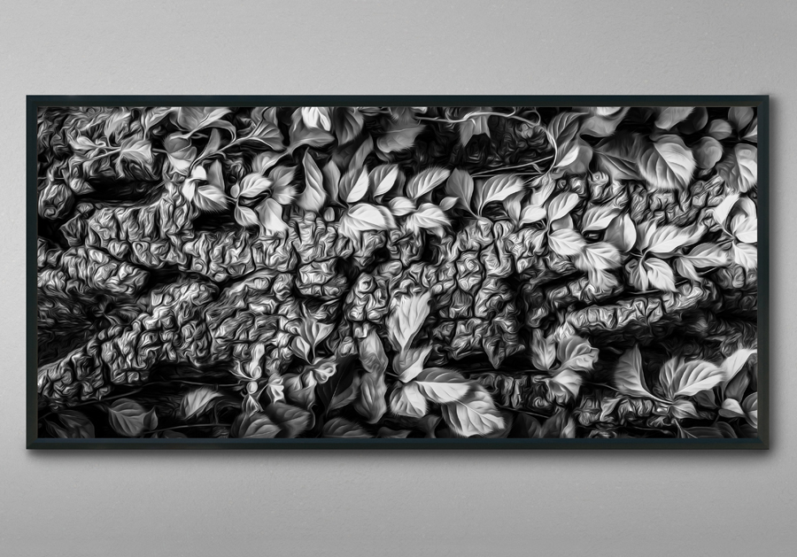 Miscellaneous Artwork